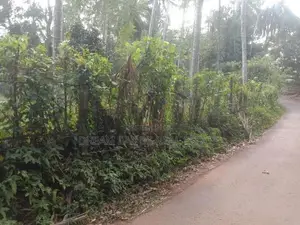 Kasbawa Gonapala Land for Sale ( Rs - 543 )