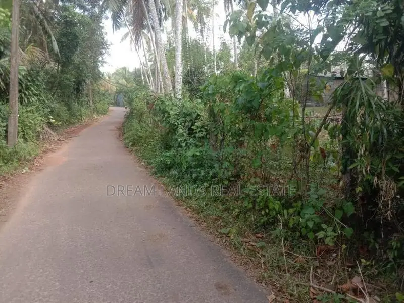 Kasbawa Gonapala Land for Sale ( Rs - 543 )
