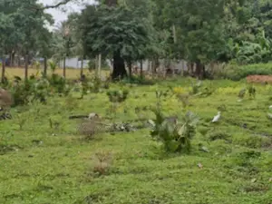 Land for Sale in Vavuniya