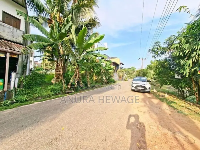 තලවතුගොඩ පිහිටි ඉඩමක් විකිණීමට ඇත. (ID : PLWT001S)