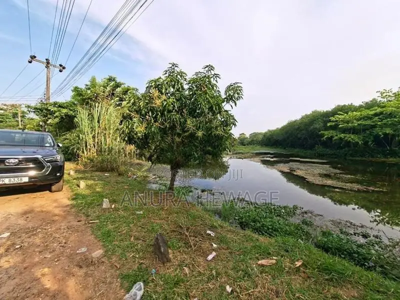 තලවතුගොඩ පිහිටි ඉඩමක් විකිණීමට ඇත. (ID : PLWT001S)