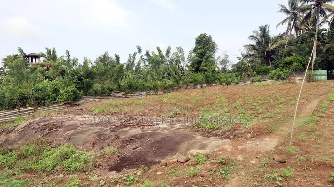 Gonapola Land for Sale in Kumbuka