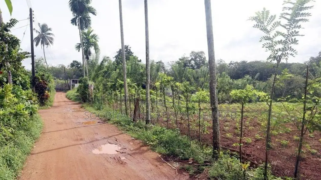 Gonapola Land for Sale in Kumbuka