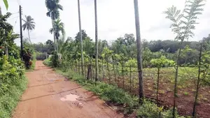 Gonapola Land for Sale in Kumbuka