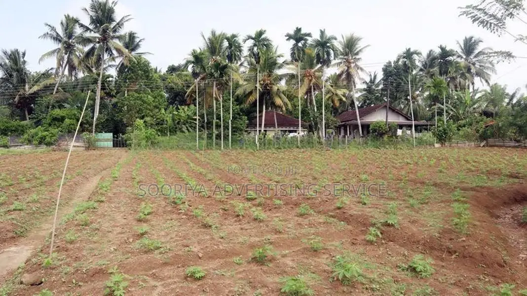 Gonapola Land for Sale in Kumbuka