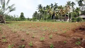 Gonapola Land for Sale in Kumbuka