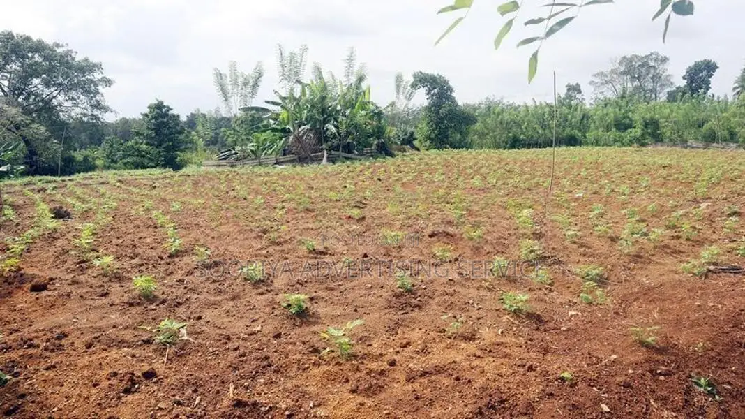 Gonapola Land for Sale in Kumbuka