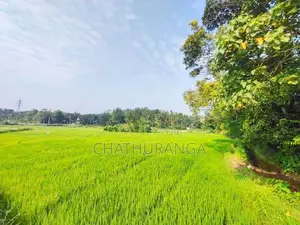 Paddy Field View Land for Sale Kadawatha කුඹුරු මායිම් ඉඩම්