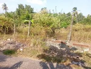 Land For Sale Ethgala Katana Gampaha