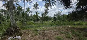 Commercial Land for Sale in Divulapitiya (sp1057)