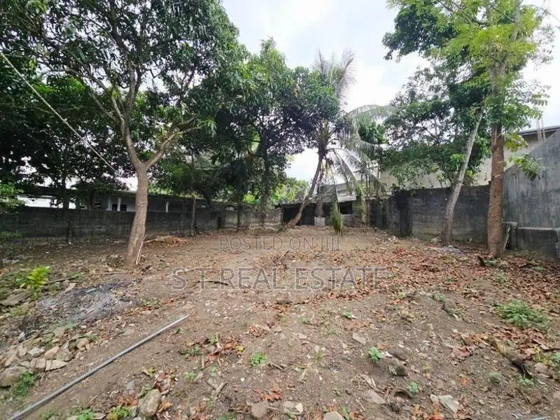 13.70P Bare Land For Sale In Embuldeniya