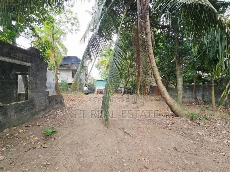 13.70P Bare Land For Sale In Embuldeniya