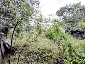 28.65 P Bare Land Sale at Devala RoAd Nugegoda