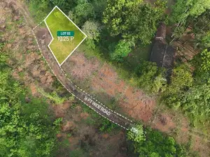Lands for Sale in Kosgama