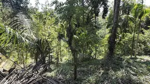 Land for Sale in Kandy