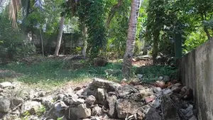 Valuable Land for Sale in Kadawatha