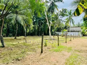 මිනුවන්ගොඩ නගරය කටුනායක පාරට මීටර් 600 යි