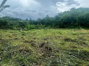 කිරිඳි ඔයට මායිම්ව ඉඩමක් විකිණීමට