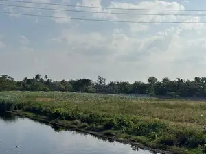 Commercial Land for Sale in Wattala