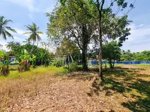 වේයන්ගොඩින් Highway පිවිසුමට විනාඩ් 5 අගනා ඉඩමක්