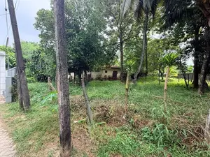 Land For Sale In Borelasgamuwa - CL823