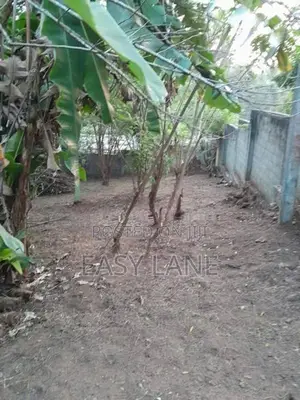 Land for sale in kandy