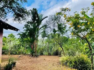 Land for sale in urapola