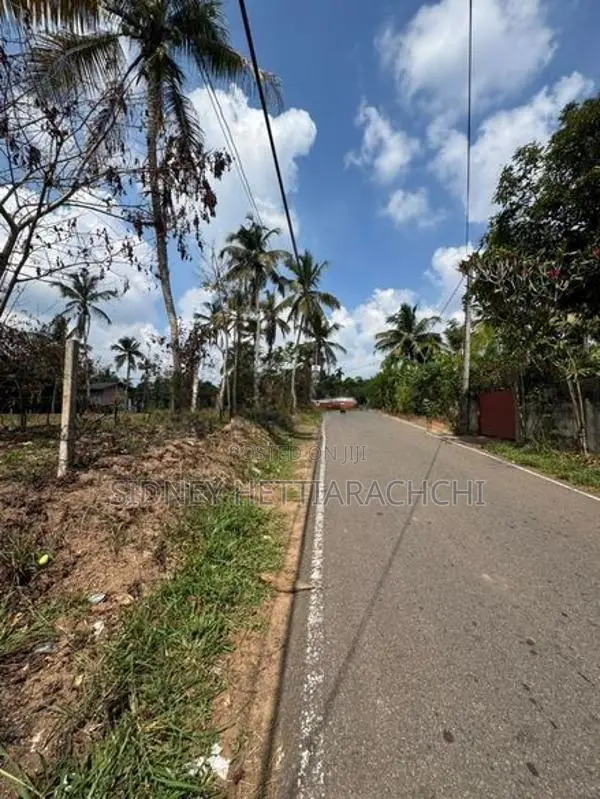 Valuable Land For Sale Ganemulla