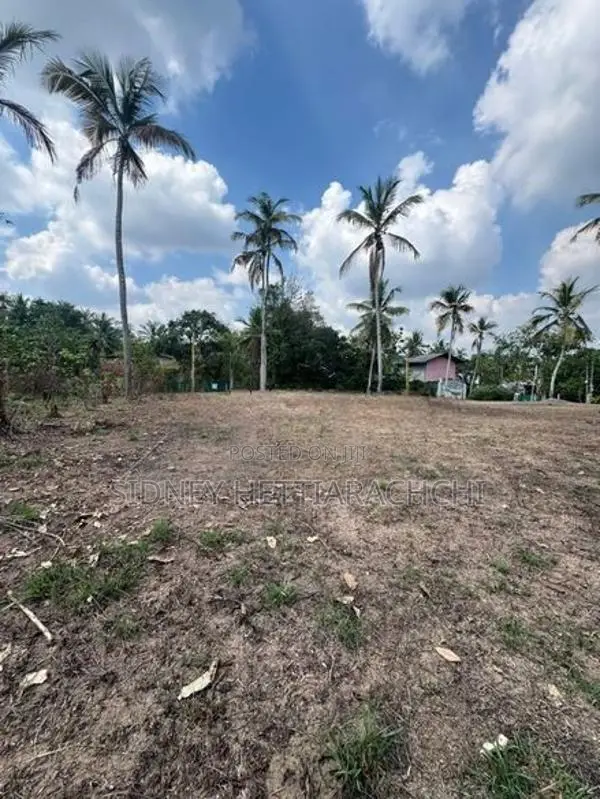 Valuable Land For Sale Ganemulla