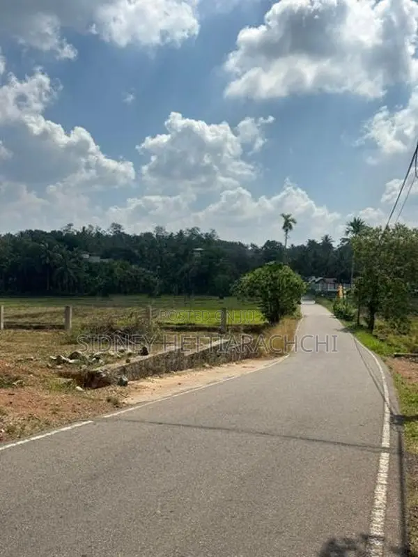 Valuable Land For Sale Ganemulla