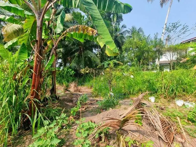 වේයන්ගොඩින් නගරයෙන් Land for Sale