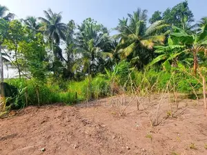 වේයන්ගොඩින් නගරයෙන් Land for Sale