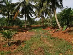Farming Land Sale in Godigamuwa