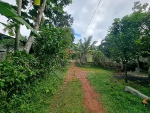 වේයන්ගොඩ අධිවේගී පිවිසුමට විනාඩි 10 කොට්ටල පාරෙන් වටිනා ඉඩමක්