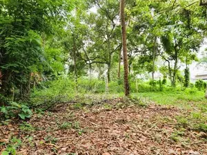 Land for Sale in Kirindiwela