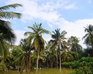 Yakkala Prime Land for Sale