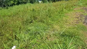 Land for Sale in Mountlavinia