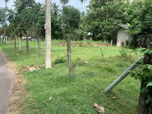 Land for Sale in Negombo - 24.9 Perch