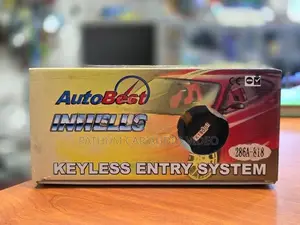 Autobest Brand Nissan Remote Key
