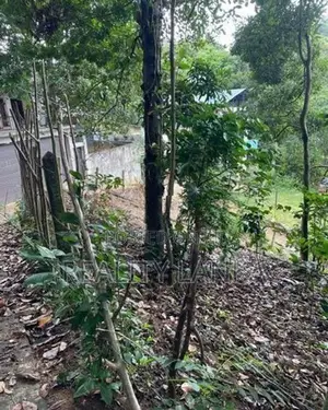 Land For Sale (3958) Kandy