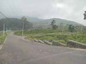 Land for Sale Nuwara Eliya Road, Thalawakalle