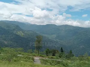 Kabana Land for Sale Nuwara Eliya Road