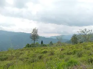 Land for Sale Nuwara Eliya Road