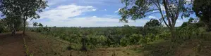 Weligama : 3.67 acres Prime Sea view Development Land for Sale