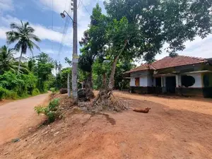 නිට්ටඹුවෙන් විශාල ඉඩමක් සහ නිවසක් විකිණීමට