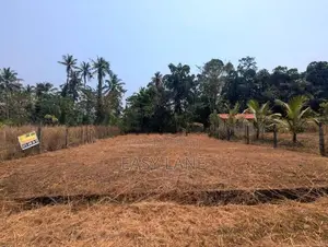 මීරිගම - මීගමුව පාරට ආසන්නයෙන් වටිනා ඉඩමක්