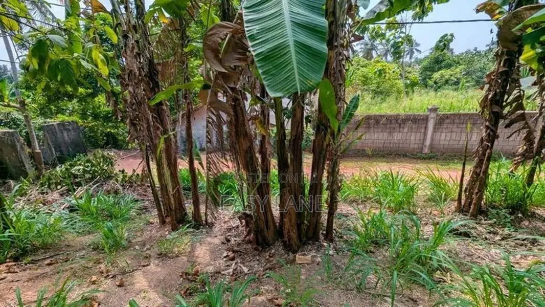 කඩවත මැයිගහමුලින් වටිනා ඉඩමක්