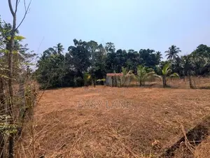 මීරිගම - මීගමුව පාරට ආසන්නයෙන් වටිනා ඉඩමක්
