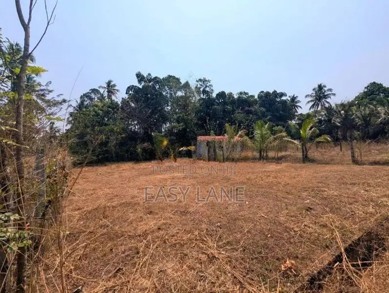 මීරිගම - මීගමුව පාරට ආසන්නයෙන් වටිනා ඉඩමක්