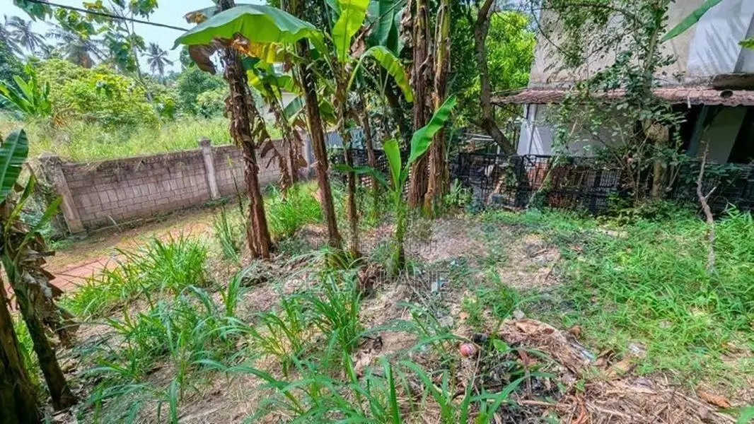 කඩවත මැයිගහමුලින් වටිනා ඉඩමක්